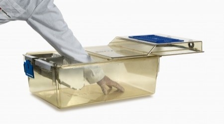 IVC Drawer Style - Animal Handling System